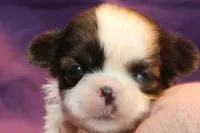 processed/e0cc223b-e5e2-4270-86ec-14351bf2b779/listing/3b74b4ba-6d23-4e9c-99bb-239f62b6ee77/59a3757d-42d4-4003-8ce9-d653fd17013a