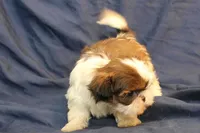 processed/e0cc223b-e5e2-4270-86ec-14351bf2b779/listing/3b74b4ba-6d23-4e9c-99bb-239f62b6ee77/5fff924c-ef15-43c7-952f-b4e15984923c