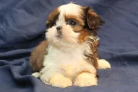 processed/e0cc223b-e5e2-4270-86ec-14351bf2b779/listing/3b74b4ba-6d23-4e9c-99bb-239f62b6ee77/6065dfe6-8eb8-43c1-bc11-2e33771f6f7e