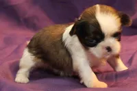 processed/e0cc223b-e5e2-4270-86ec-14351bf2b779/listing/3b74b4ba-6d23-4e9c-99bb-239f62b6ee77/6bda973d-4dc9-4b96-a3ff-59dd86ef6b04