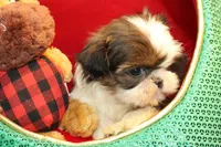 processed/e0cc223b-e5e2-4270-86ec-14351bf2b779/listing/3b74b4ba-6d23-4e9c-99bb-239f62b6ee77/87ca7ff8-11b6-4e44-94d9-13be02fcfdb1