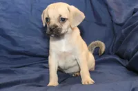 processed/e0cc223b-e5e2-4270-86ec-14351bf2b779/listing/71629f7d-dfcf-44ce-9774-0ebfb85e1870/1b7de5df-59a2-4907-935a-c1daf9817a9d