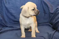 processed/e0cc223b-e5e2-4270-86ec-14351bf2b779/listing/71629f7d-dfcf-44ce-9774-0ebfb85e1870/cd01dbaf-91ea-4103-9a3d-94b115d054f6