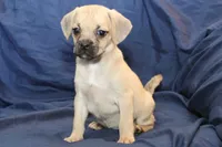 processed/e0cc223b-e5e2-4270-86ec-14351bf2b779/listing/71629f7d-dfcf-44ce-9774-0ebfb85e1870/cebefe6c-b2dc-43d1-ad56-b16864831f98