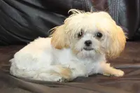 processed/e0cc223b-e5e2-4270-86ec-14351bf2b779/listing/8163f0e8-59b7-4965-8d34-180b50606195/40d384b3-ce89-4f95-a719-d12e8bc08399