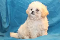 processed/e0cc223b-e5e2-4270-86ec-14351bf2b779/listing/8163f0e8-59b7-4965-8d34-180b50606195/46f78584-9035-42b0-9f61-029b55df20a8