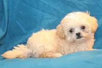 processed/e0cc223b-e5e2-4270-86ec-14351bf2b779/listing/8163f0e8-59b7-4965-8d34-180b50606195/b247bda7-d9a5-4a99-94f3-94e998388b87