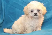 processed/e0cc223b-e5e2-4270-86ec-14351bf2b779/listing/8163f0e8-59b7-4965-8d34-180b50606195/e1f569d2-be14-4b23-b8ba-8cd54063dbea