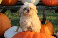 processed/e0cc223b-e5e2-4270-86ec-14351bf2b779/listing/a78972f8-9aef-4504-86f2-b0639ca38b23/dbece13b-878c-4cd1-a6da-da0e8411eba0