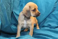 processed/e0cc223b-e5e2-4270-86ec-14351bf2b779/listing/b1355e80-b5ca-414a-924f-df2a2b698975/0e7964ea-f9d9-48b7-8f30-f4592ae48884