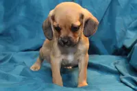 processed/e0cc223b-e5e2-4270-86ec-14351bf2b779/listing/b1355e80-b5ca-414a-924f-df2a2b698975/48eea8b8-3944-4eb4-95ba-23102676728e