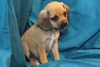 processed/e0cc223b-e5e2-4270-86ec-14351bf2b779/listing/b1355e80-b5ca-414a-924f-df2a2b698975/7347d4ef-fcf6-451c-af75-8454d2e91c0d