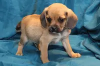 processed/e0cc223b-e5e2-4270-86ec-14351bf2b779/listing/b1355e80-b5ca-414a-924f-df2a2b698975/80927e00-715e-4fb1-a1ec-6f4edac4d79d