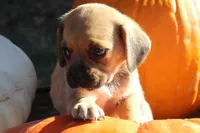 processed/e0cc223b-e5e2-4270-86ec-14351bf2b779/listing/b1355e80-b5ca-414a-924f-df2a2b698975/9649e7e8-3b11-4c94-a61c-113cfa9c970c