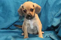 processed/e0cc223b-e5e2-4270-86ec-14351bf2b779/listing/b1355e80-b5ca-414a-924f-df2a2b698975/d2004d45-16e3-4b1f-bea3-07968c06a500