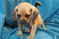 processed/e0cc223b-e5e2-4270-86ec-14351bf2b779/listing/b1355e80-b5ca-414a-924f-df2a2b698975/f48dbb65-caec-4ea1-b64d-ea195dc4e936