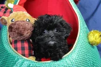 processed/e0cc223b-e5e2-4270-86ec-14351bf2b779/listing/b1f3ce44-5970-4cb8-bd9a-1b498232cf60/44ff5dfb-e654-4053-be50-b22547197125