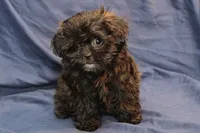 processed/e0cc223b-e5e2-4270-86ec-14351bf2b779/listing/b1f3ce44-5970-4cb8-bd9a-1b498232cf60/6aa1c015-fe0d-4ebd-b645-3660bf0bc955