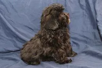 processed/e0cc223b-e5e2-4270-86ec-14351bf2b779/listing/b1f3ce44-5970-4cb8-bd9a-1b498232cf60/9b5ca153-0c0d-453d-bf7c-8e5dad67cf00