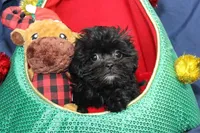 processed/e0cc223b-e5e2-4270-86ec-14351bf2b779/listing/b1f3ce44-5970-4cb8-bd9a-1b498232cf60/acf2f01d-7435-4a17-aa7b-a7a579f7d5ed