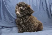 processed/e0cc223b-e5e2-4270-86ec-14351bf2b779/listing/b1f3ce44-5970-4cb8-bd9a-1b498232cf60/bedecfb5-9d3a-44dd-bc77-27319299e8fe