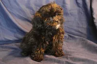 processed/e0cc223b-e5e2-4270-86ec-14351bf2b779/listing/b1f3ce44-5970-4cb8-bd9a-1b498232cf60/f40b7def-2eb6-4685-9902-ac8e2fb3cbf2