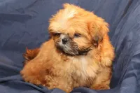 processed/e0cc223b-e5e2-4270-86ec-14351bf2b779/listing/b60dbb7d-0af7-4c55-9b58-9cc44467bd75/1f2254f8-8ed0-4bd5-a575-6e456808aad4