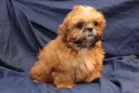 processed/e0cc223b-e5e2-4270-86ec-14351bf2b779/listing/b60dbb7d-0af7-4c55-9b58-9cc44467bd75/42f66f74-b472-4e67-afa2-c703873db395