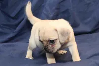 processed/e0cc223b-e5e2-4270-86ec-14351bf2b779/listing/b788c4eb-e644-4cca-89d8-dddda4eebb3f/31fb97dd-0785-4de9-9b7b-07ef7952e337