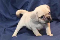 processed/e0cc223b-e5e2-4270-86ec-14351bf2b779/listing/b788c4eb-e644-4cca-89d8-dddda4eebb3f/3fd73078-d618-4e90-b7da-0b0412e3d389