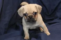 processed/e0cc223b-e5e2-4270-86ec-14351bf2b779/listing/b788c4eb-e644-4cca-89d8-dddda4eebb3f/732ce5f0-f86d-4d96-9bcb-14d5d2f6f7d0