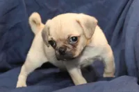 processed/e0cc223b-e5e2-4270-86ec-14351bf2b779/listing/b788c4eb-e644-4cca-89d8-dddda4eebb3f/90c60752-5bac-4063-9734-6d8b6f5a3e6f