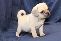 processed/e0cc223b-e5e2-4270-86ec-14351bf2b779/listing/b788c4eb-e644-4cca-89d8-dddda4eebb3f/eb409370-4c17-4f85-b2d2-16a6a14a3ee6