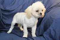 processed/e0cc223b-e5e2-4270-86ec-14351bf2b779/listing/bfc054f2-27f3-43d1-abe2-3f4eb915061f/15fa0184-71de-4e8e-9bfc-d75d810191a1