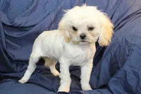 processed/e0cc223b-e5e2-4270-86ec-14351bf2b779/listing/bfc054f2-27f3-43d1-abe2-3f4eb915061f/2690be73-9cad-4be6-9401-6a73d1efc1b8