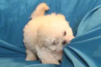 processed/e0cc223b-e5e2-4270-86ec-14351bf2b779/listing/bfc054f2-27f3-43d1-abe2-3f4eb915061f/4c24b4c0-6511-44cf-b537-da62e3eaa40b