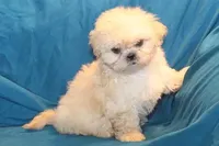 processed/e0cc223b-e5e2-4270-86ec-14351bf2b779/listing/bfc054f2-27f3-43d1-abe2-3f4eb915061f/db490529-0c8b-4cd0-98de-1b3b85b4f37c