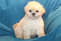 processed/e0cc223b-e5e2-4270-86ec-14351bf2b779/listing/bfc054f2-27f3-43d1-abe2-3f4eb915061f/e51b023c-c07b-446e-8ace-43d975b2f395