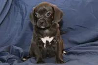 processed/e0cc223b-e5e2-4270-86ec-14351bf2b779/listing/c645521f-8ea1-4931-80a4-e7e7315174a3/27cfab3a-cb21-4978-ad66-dfbc98ce9e74