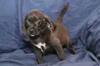 processed/e0cc223b-e5e2-4270-86ec-14351bf2b779/listing/c645521f-8ea1-4931-80a4-e7e7315174a3/4b839a5a-9150-4b78-9b6c-f08f05cb3c76