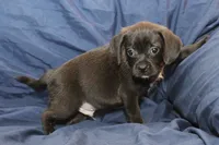 processed/e0cc223b-e5e2-4270-86ec-14351bf2b779/listing/c645521f-8ea1-4931-80a4-e7e7315174a3/52925e52-3dc9-41d5-8b94-17c014e2212f