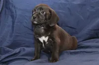 processed/e0cc223b-e5e2-4270-86ec-14351bf2b779/listing/c645521f-8ea1-4931-80a4-e7e7315174a3/b54486b6-25fe-4d7f-a555-8849c591087f