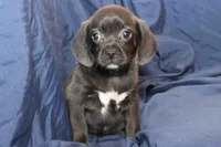 processed/e0cc223b-e5e2-4270-86ec-14351bf2b779/listing/c645521f-8ea1-4931-80a4-e7e7315174a3/bd7284b6-8524-4860-a926-c98f516d7cf7