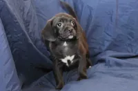 processed/e0cc223b-e5e2-4270-86ec-14351bf2b779/listing/c645521f-8ea1-4931-80a4-e7e7315174a3/dc31232f-bfdc-4a91-88f9-8edfd174fc63