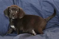 processed/e0cc223b-e5e2-4270-86ec-14351bf2b779/listing/c645521f-8ea1-4931-80a4-e7e7315174a3/f67729f9-fe9c-4bd0-a434-ba217d1b9751