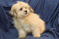 processed/e0cc223b-e5e2-4270-86ec-14351bf2b779/listing/efdcda3e-cb78-49d6-aff6-87e8560aafb0/21eda2b6-b02b-4b01-adf2-6a785599ffcf