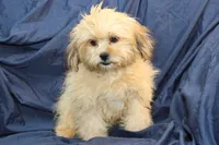 processed/e0cc223b-e5e2-4270-86ec-14351bf2b779/listing/efdcda3e-cb78-49d6-aff6-87e8560aafb0/28146f97-1ad2-47d1-8230-c1b5debf72a2