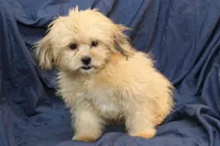 processed/e0cc223b-e5e2-4270-86ec-14351bf2b779/listing/efdcda3e-cb78-49d6-aff6-87e8560aafb0/34b8908a-eebc-4a4c-9128-699c1467260e