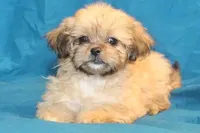 processed/e0cc223b-e5e2-4270-86ec-14351bf2b779/listing/efdcda3e-cb78-49d6-aff6-87e8560aafb0/6b0261d3-011c-47ef-9c30-204c061100d4