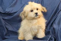 processed/e0cc223b-e5e2-4270-86ec-14351bf2b779/listing/efdcda3e-cb78-49d6-aff6-87e8560aafb0/bd1940a3-cf2e-41ca-9696-16f024b76015